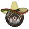 Pallas cat head. Sombrero mexican hat. Manul head. Wild cat portrait.