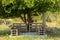 Pallet table and chairs stand in the garden under a tree, pallet furniture