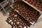 Pallets of ready-made chocolates at  confectionery plant