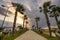 Palm alley, bright cloudy sky and green palm trees