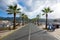 Palm alley in Port Soller, Mallorca, Balearic islands, Spain