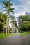 Palm alley in Royal Botanic Gardens Peradeniya near Kandy, Sri Lanka