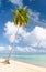 Palm and beach, Maupiti, French Polynesia