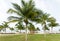 Palm Beach Ocean umbrella sunbed sand tropical summer travel