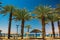 Palm beach resort tropic landscape Israeli city Eilat outdoor scenic view Red sea shore line summer time vacation season weather