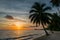 Palm beach sunset, serene coastal scenery, tropical paradise