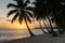 Palm beach sunset, serene coastal scenery, tropical paradise