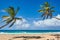 Palm Beach In Tropical Idyllic Paradise Island - Caribbean - Dominican Republic Punta Cana