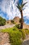 Palm, blue cloudy sky, green plant, mountains