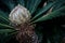 Palm branches growing seen up close