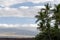 Palm branches in Waikoloa resort with Mauna Kea slops in the backround