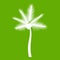 Palm butia capitata icon green