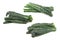 Palm Cabbage `Black from Tuscany` Cavolo Laciniato `Nero di Toscana` also known as black cabbage