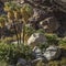 Palm Canyon At Anza Borrego State Park, California