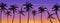 Palm coconut trees Silhouette at sunset or sunrise. Realistic banner vector illustration. Beach paradise.