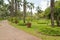 Palm collection in Ñity park in Kuching, Malaysia, tropical garden with large trees and lawns