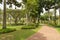 Palm collection in Ñity park in Kuching, Malaysia, tropical garden with large trees and lawns