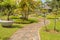 Palm collection in Ñity park in Kuching, Malaysia, tropical garden with large trees and lawns