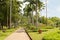 Palm collection in Ñity park in Kuching, Malaysia, tropical garden with large trees and lawns