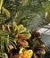 Palm & Croton Foliage