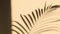 A palm frond\'s shadow sways gently on a wall, stirred by the wind. Captures the dynamic interplay between nature and