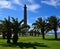 Palm garden and lighthouse, Maspalomas