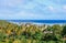 Palm grove and atlantic ocean view from the hill of Bequia island