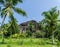 Palm grove in coconut plantation, L`Union Estate on La Digue Island