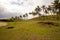 The palm grove in front of the white sandy beach of Anakena. Easter Island, Chile