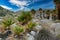 Palm groves near Mountain Palm Springs, Southern California