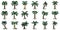 Palm icons set vector flat