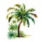 Palm Illustration On White Background: Aquarellist Art Of Tonga