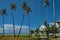 Palm Islands of coral reefs