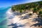 Palm jungle on caribbean coastline from helicopter