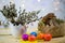 Palm kitten with Easter lambs as decoration, gray background