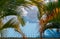 Palm leaf with blue sheet metal roofs and sky background