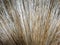 Palm leaf broom close up