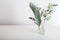 Palm leaf eucalyptus and sprig of greenery bouquet in glass vases on white background. Green tropical plants minimalism