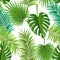 Palm leaf seamless pattern for tropical background