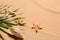 Palm leaf, starfishes and seashell on beach sand, space for text. Summer vacation