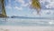 Palm leaf on tropical sandy beach swaying in breeze against ocean waves with sun glare reflected in water surface, blue