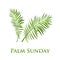 Palm leafs icon. Vector illustration for the Christian holiday Palm Sunday.