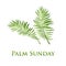 Palm leafs icon. Vector illustration for the Christian holiday Palm Sunday