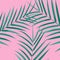 Palm leaves background. Botanical leaves on millenial pink background. Exotic background