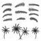 Palm leaves collection. Tropical palm trees with leaves. Black silhouettes isolated palm trees on white background