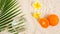 Palm leaves, frangipanis, and oranges and water on white sand - summer background with copyspace