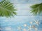 Palm leaves with seashells, starfish