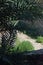 Palm leaves and stone path in Mediterranean green garden