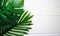 Palm leaves on a wooden white background
