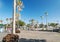 Palm-lined promenade